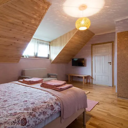 Nadwislanskie Gniazdo Habitación en casa particular *
