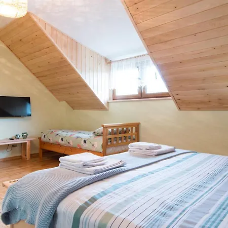 Nadwislanskie Gniazdo