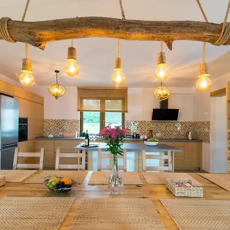 Nadwislanskie Gniazdo