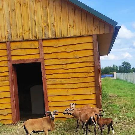 Homestay Nadwislanskie Gniazdo